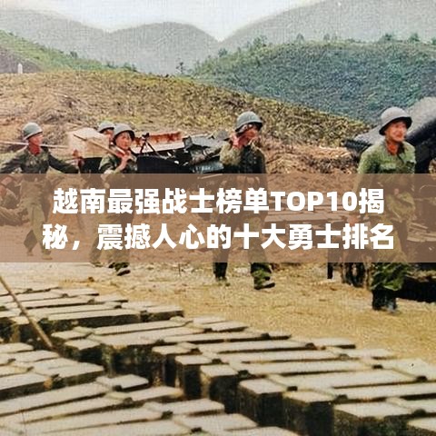 纲举目张