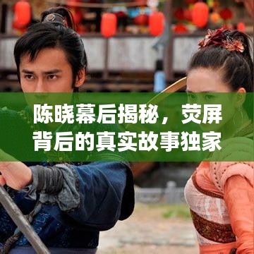 陈晓幕后揭秘,荧屏背后的真实故事独家曝光