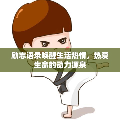 资质荣誉 第16页