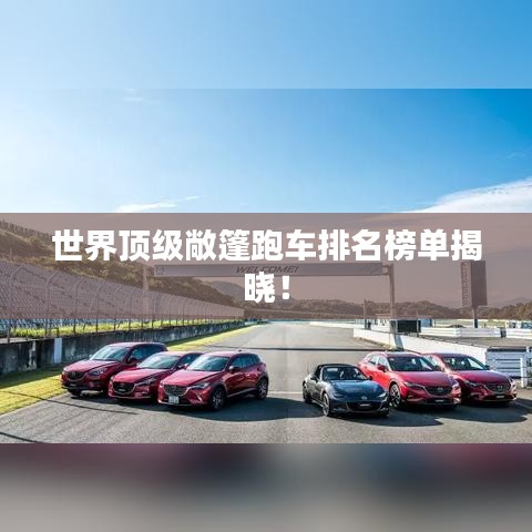 新闻中心 第17页