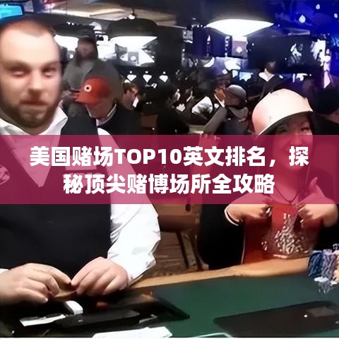 鸟飞兔走