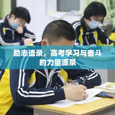 资质荣誉 第13页