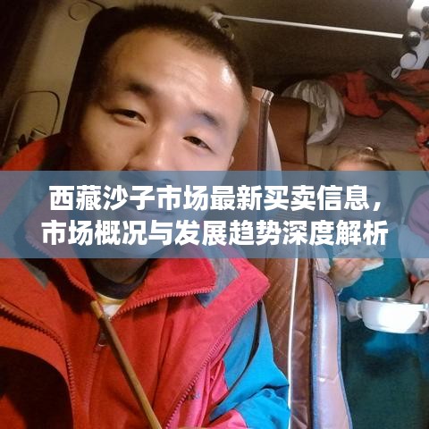 西藏沙子市场最新买卖信息,市场概况与发展趋势深度解析