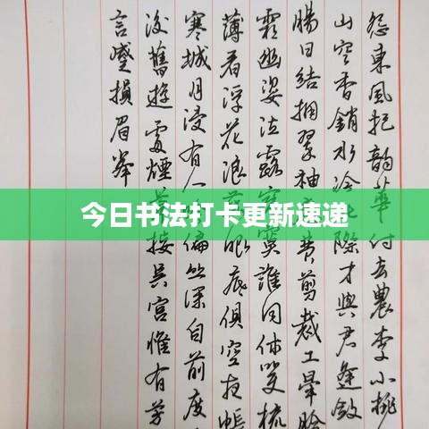 今日书法打卡更新速递