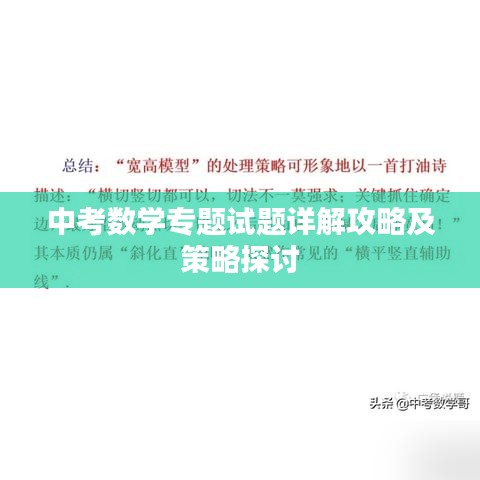 中考数学专题试题详解攻略及策略探讨