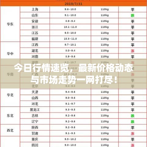合作案例 第9页