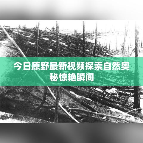 台球房用品 第8页