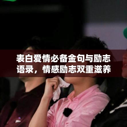 表白爱情必备金句与励志语录,情感励志双重滋养