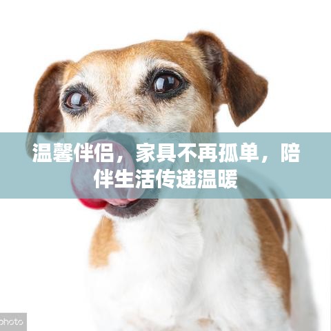 美式台球桌 第5页