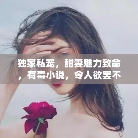 资质荣誉 第4页