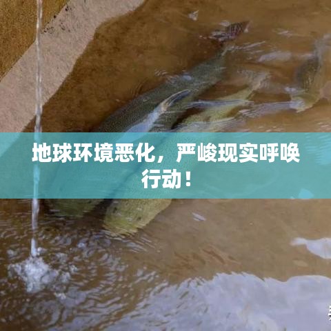 2025年4月 第10页