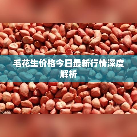 资质荣誉 第2页