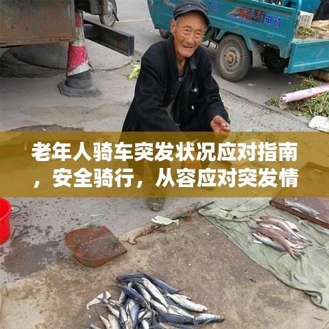 老年人骑车突发状况应对指南，安全骑行，从容应对突发情况