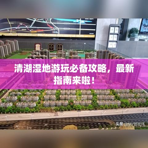 清湖湿地游玩必备攻略,最新指南来啦!