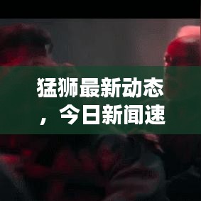 猛狮最新动态，今日新闻速递