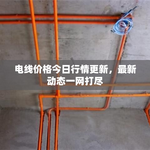 电线价格今日行情更新,最新动态一网打尽