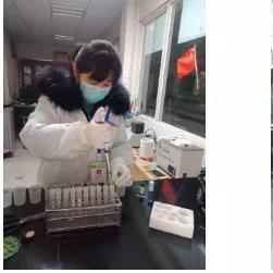 关于微信苹果历史版本下载，定量分析解释定义模拟版_v9.259的FAQ