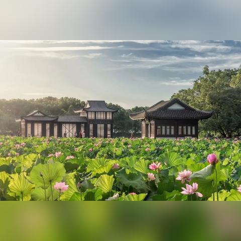 江南百景图提示版本低,科技评估解析说明|挑战版_v3.520