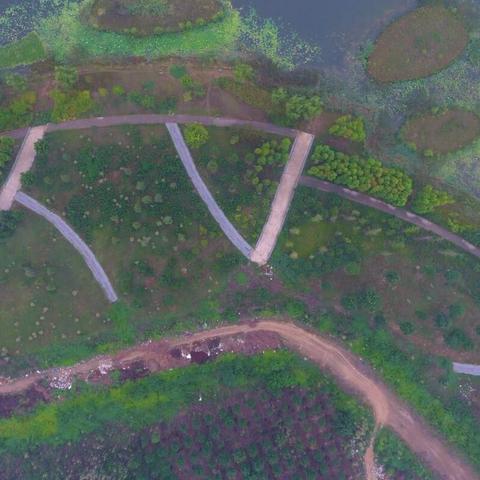 我要下载官方下载,实践分析解释定义&amp;定制版_v8.128