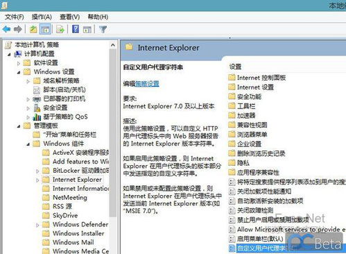 ie官方浏览器下载,统计研究解释定义&vShop_v8.743