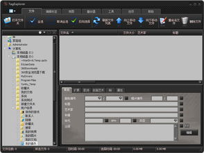 天天音乐播放器官方下载,深层设计策略数据_XT_v7.908