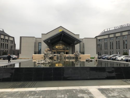 金满堂官方下载,实地考察数据解析&amp;桌面版_v3.565