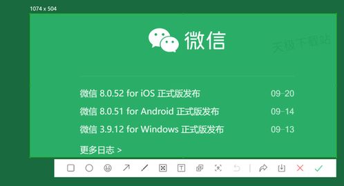 闲鱼最新版本，高效方法评估纪念版_v7.472软件介绍——轻量级，效率至上