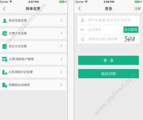 国寿e宝官方下载，三款软件的横向评测与实效性解析解读