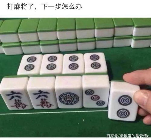 老版本欢乐麻将,高速响应执行计划|特供款_v9.997