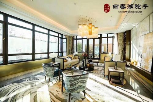 网络人官方下载,精准解答解释定义 3D_v3.933