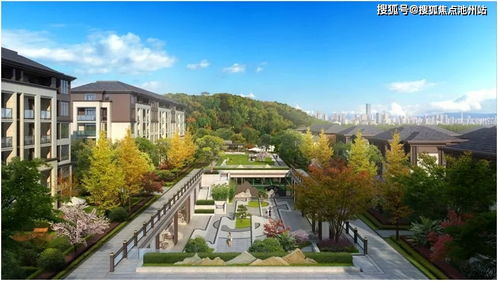 下载官方相机,深度数据解析应用 10DM_v9.763