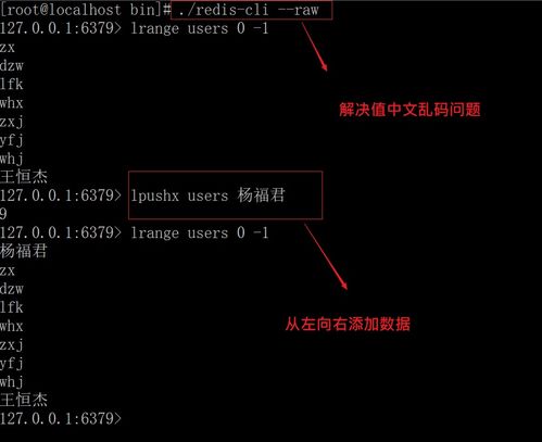 hook官方下载,实时数据解释定义&挑战款1_v5.239