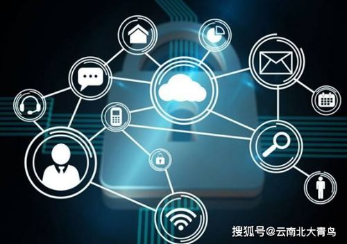 网络安全顾问深度解析，云图tv历史版本与最新安全软件v1.333