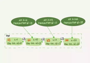 citra版本,深度应用解析数据_NE版_v1.702