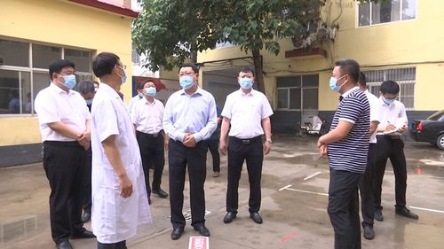 新版本猪妹软件评测，实地深度解析