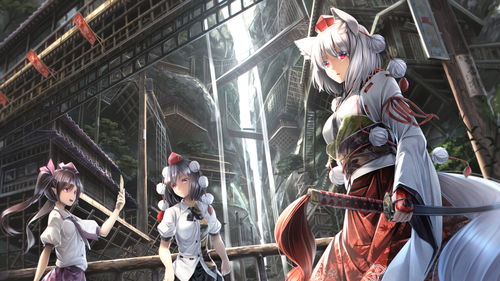 114官方APP下载,迅捷处理问题解答|桌面款_v6.398