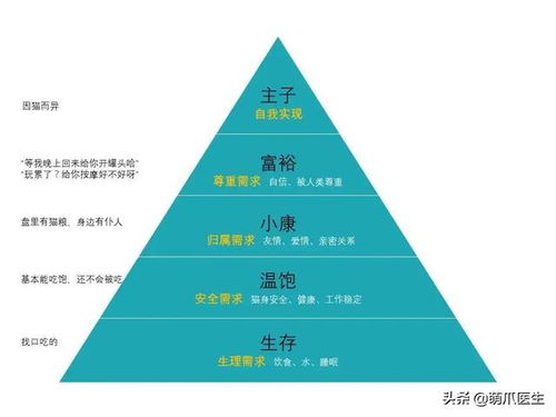 哔哩哔哩2018历史版本,理论分析解析说明-进阶版1_v1.342