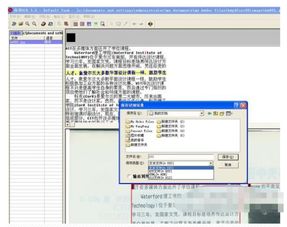 word文档版本,精确数据解释定义_5DM_v9.983
