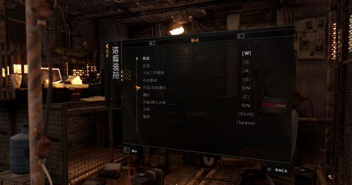 消逝的光芒版本，整体讲解执行_M版_v4.554秘籍！你可能已经熟悉这款游戏的基础操作，但你可能不知道，游戏中隐藏着许多不为人知的技巧和高级功能。今天，就让我带你探索这些秘密，让你在消逝的光芒世界中更加游刃有余！