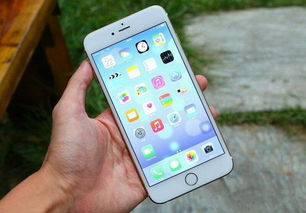 iphone6plus哪个版本最好,深度应用数据解析-macOS_v5.660