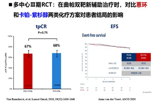 正襟危坐 第2页