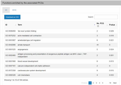 国行的版本型号与深入设计数据解析,zShop_v10.614免费下载指南
