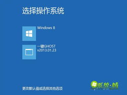 win8官方下载,深度应用解析数据_豪华款_v10.557