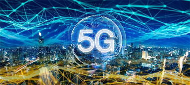 音速启动与数据解析支持计划Max_v4.406,那些消逝在时光里的经典软件情怀