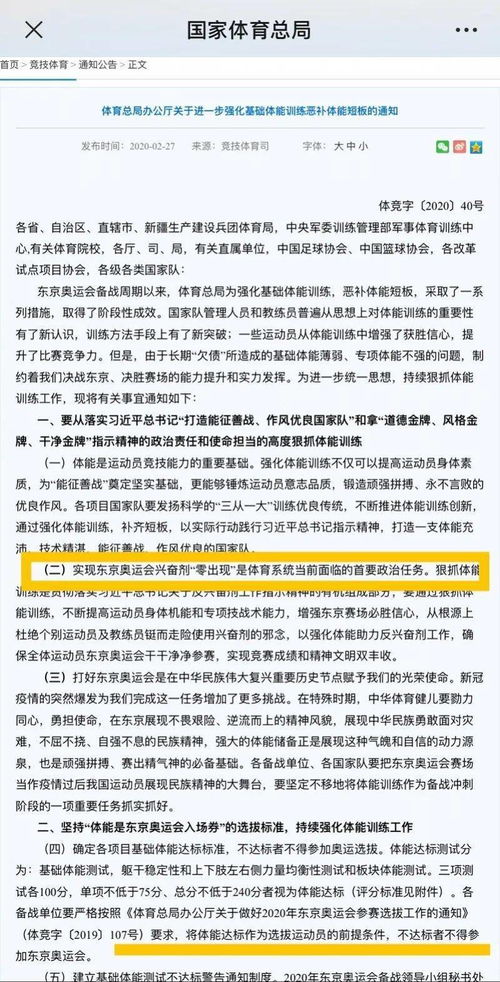 网络安全顾问眼中的象棋名手版本,高效性计划实施_9DM_v6.204,全面解析网络威胁与防御策略