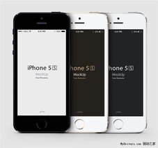 苹果5s版本型号,适用性计划解读&交互版_v4.570