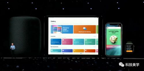 ios官方下载,系统研究解释定义_HT_v2.532