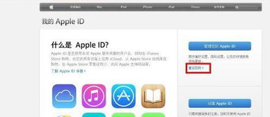 下载苹果官方免费下载,迅捷处理问题解答-iPad_v1.165