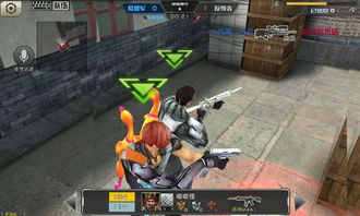 全民枪战官方版本.,专家解读说明&网页版_v10.828