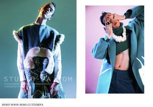 gif官方下载,实地评估解析说明&领航款_v10.176